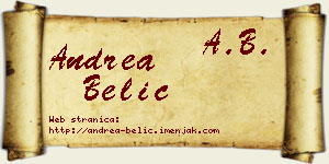 Andrea Belić vizit kartica